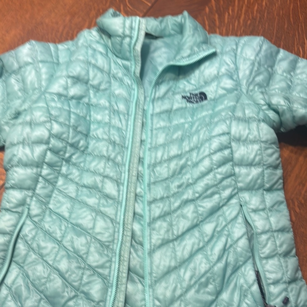 The North Face Blue Quilted Puffer Jacket